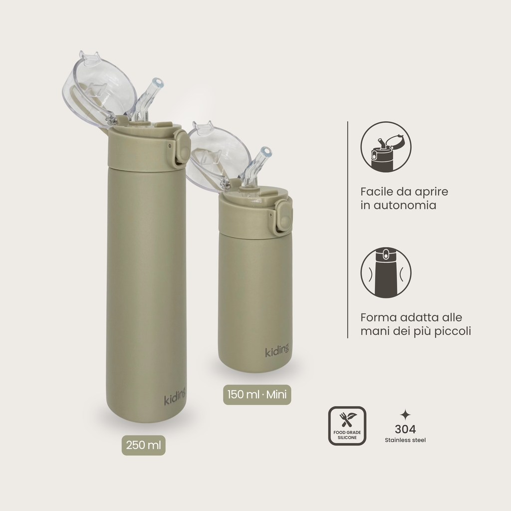 Insulated Water Bottle